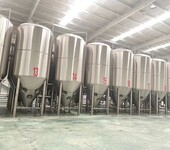 工厂型的精酿啤酒设备生产厂家年产1万吨大型啤酒设备