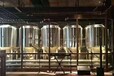 淮北饭店餐饮店精酿啤酒设备日产500升啤酒设备啤酒酿酒设备厂家