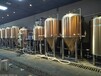 供应保定饭馆精酿原浆啤酒设备酿啤酒的设备日产2000升啤酒设备