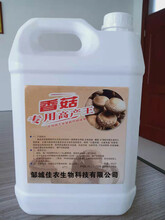 江西省香菇有机肥