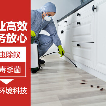 廣州除四害公司，消殺害蟲，滅蟑螂、滅老鼠、滅蚊蠅