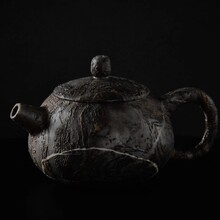 翡翠古羽石水缸主人杯茶杯茶壶植物古化石