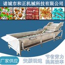 商用果蔬氣泡清洗機酸筍海帶脫鹽加工設備山竹砂糖橘清洗機器