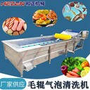 全自動(dòng)果蔬清洗機酸筍海帶脫鹽土豆紅薯清洗去泥凈菜流水線(xiàn)