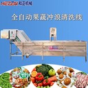 洗菜機商用自動(dòng)提升式氣泡清洗機凈菜加工自動(dòng)化生產(chǎn)線(xiàn)
