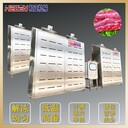 全自動(dòng)蝦仁解凍機(jī)多功能氣泡清洗解凍機(jī)凍品鴨貨解凍設(shè)備