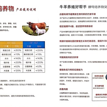 酿酒酵母培养物