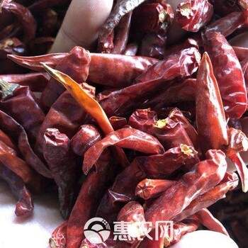 广东佛山三水干辣椒进口报关需要提供的资料以及清关的流程
