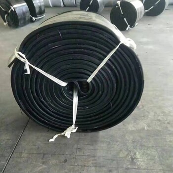 建筑防水橡膠止水帶a新津建筑防水橡膠止水生產(chǎn)基地