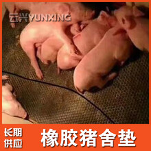 青島云興橡膠牛床墊保溫小豬墊仔豬保溫墊母豬產床墊圖片
