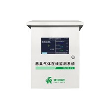 江苏南京EA200-OU恶臭在线监测系统联网包验收臭气浓度报警仪