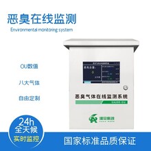 江苏南京EA200-OU恶臭在线监测系统安装