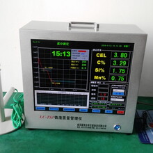 电脑炉前碳硅分析仪LC-TS5