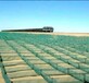 蒙古植物纤维编织阻沙防沙网沙漠生态治理防风固沙网
