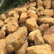 福建园林风景石福州供应公园景观石黄蜡石绿化点缀石