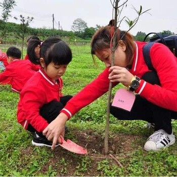 惠州果盛生态园公益植树活动方案