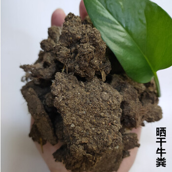 湖北干牛糞塊廠家干牛糞有機(jī)肥武漢干牛糞大量供應(yīng)