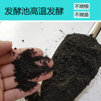 江蘇果蔬腐熟雞糞批發(fā)河北廠家大量批發(fā)發(fā)酵雞糞