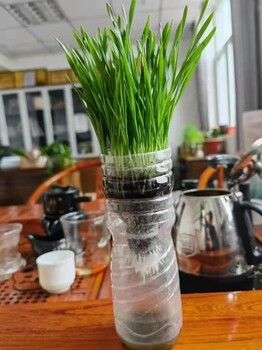 秾源生物菌肥光笑海藻菌肥微生物菌肥40公斤生物肥料
