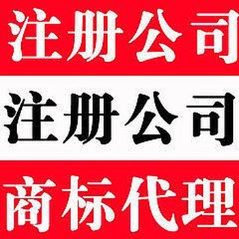 海盐公司执照代办财税代理上门做账协助申办许可资质