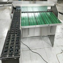 雞蛋分級機蛋品加工分級機重量分級機圖片