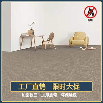 接待室地毯阻燃防火B(yǎng)1特殊尺寸600X600mm寫字樓走廊拼接方塊地毯