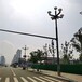 山西忻州6米8米监控杆综合杆立杆厂家报价
