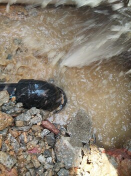 东莞市管道漏水检测查家庭水管漏水测漏管道查漏维修