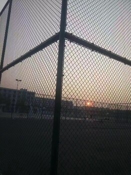 河北厂家供应体育场围网球场围网墨绿色勾花网菱形网护栏