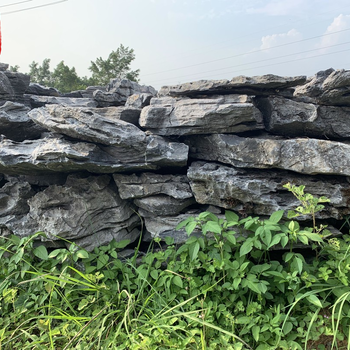 青龍石是什么石頭青龍石在英德原生態(tài)的大山可以撿
