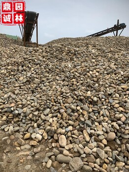 鹅卵石厂家鹅卵石滤料天然杂色鹅卵石河卵石现货供应