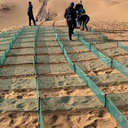 塑料尼龙网方格障防风固沙网防沙阻沙网用于沙害治理