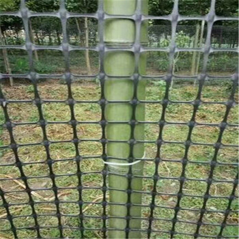 黑色塑料方格养殖围栏网圈山圈地网圈玉米网