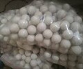 振动筛弹力球批发-硅胶球-硅胶条-浩然振动筛生产厂家