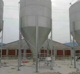 养殖场全自动上料系统饲料存储设备镀锌板料塔各种规格
