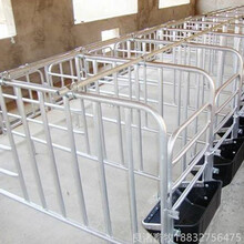 母猪产床限位栏提高养猪场的数量
