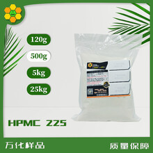 羟丙基甲基纤维素(HPMC)