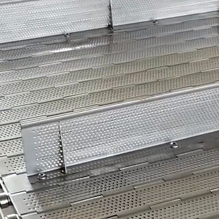 厂家生产不锈钢链板输送机冲孔链板清洗链板图片1