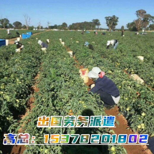 广东云浮出国打工合同法律保障月薪3万起包吃住四川海聘劳务