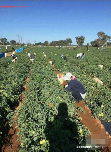 出国打工正规项目河南三门峡