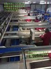 厦门市出国打工正规公司急招奶粉长普工企业