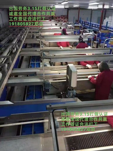 东莞市出国打工正规公司新西兰普工奶粉厂