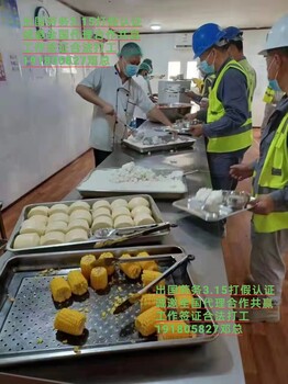 嘉义市四川远境蒙古国劳务寿司串烧员保签项目