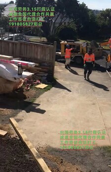 九江市外劳务澳大利亚（通过率）急招装修工