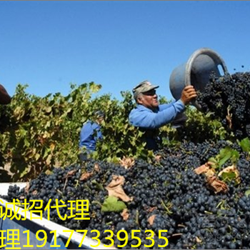 正規(guī)辦理工作簽海外勞務(wù)