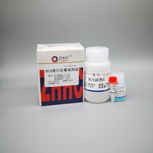 BCA蛋白定量试剂盒
