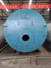 潍坊10吨蒸气锅炉-锅炉厂家图片