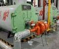 乌兰察布3吨天然气蒸汽锅炉厂