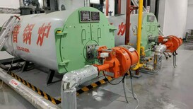 工业蒸汽发生器公司-蒸汽发生器厂家图片1