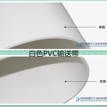 沈陽輕型輸送帶廠家-白色PVC輕型輸送帶殺雞廠皮帶圖片
